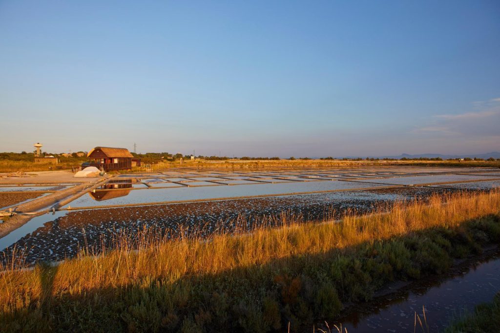 Cosa vedere a Cervia