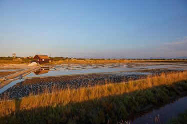 Cosa vedere a Cervia