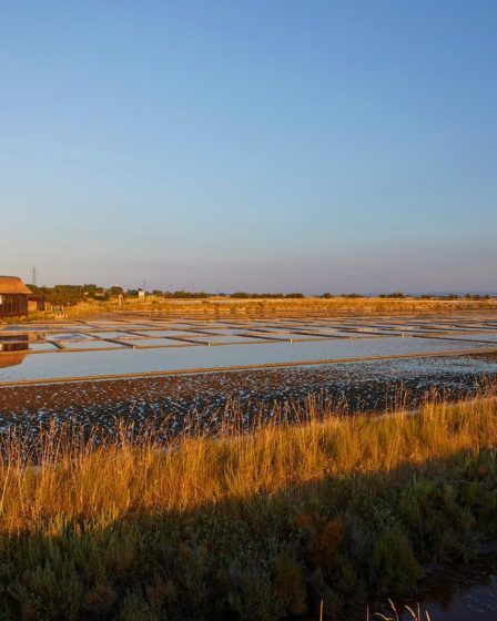 Cosa vedere a Cervia