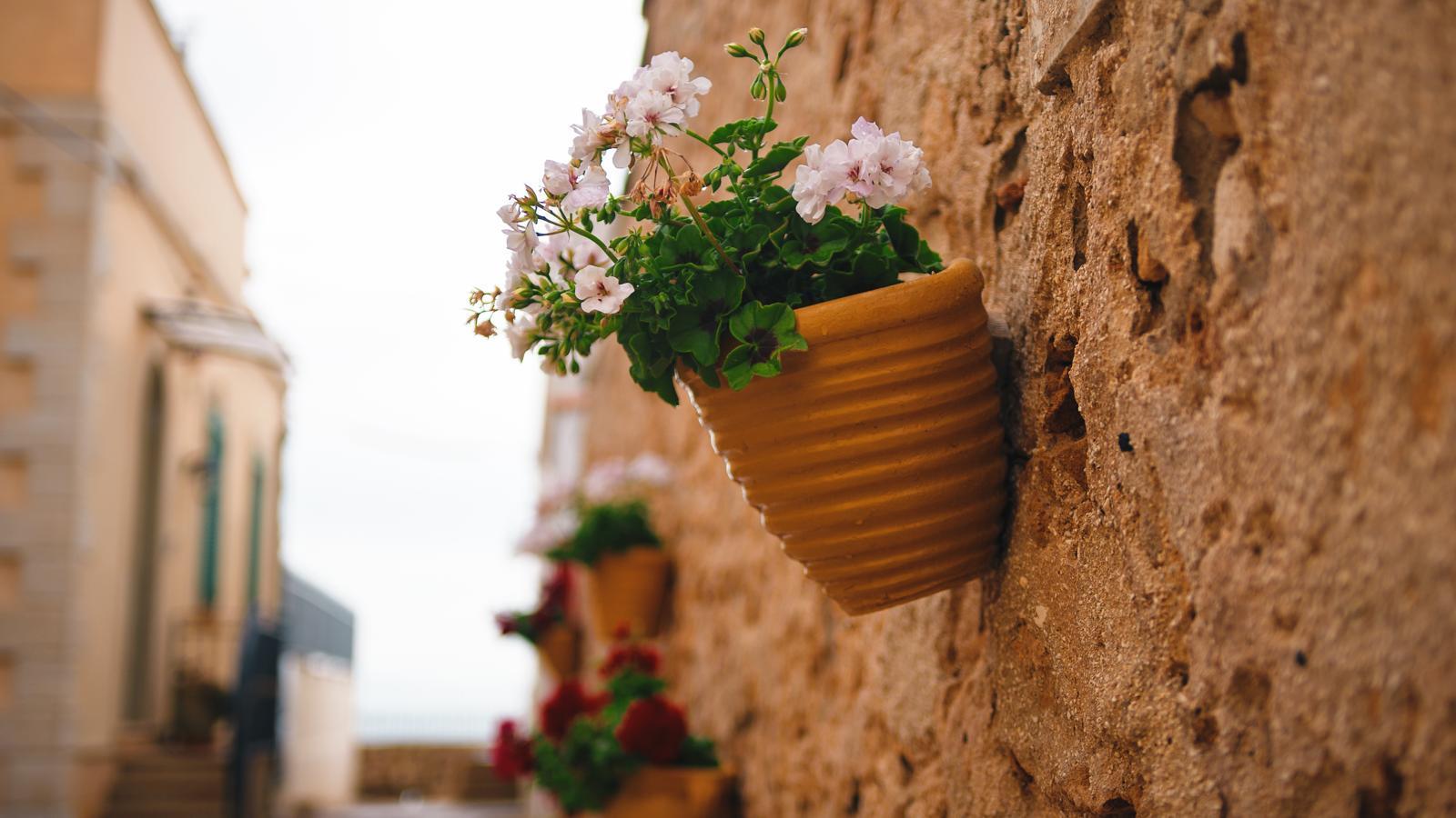 Cosa vedere a Marzamemi