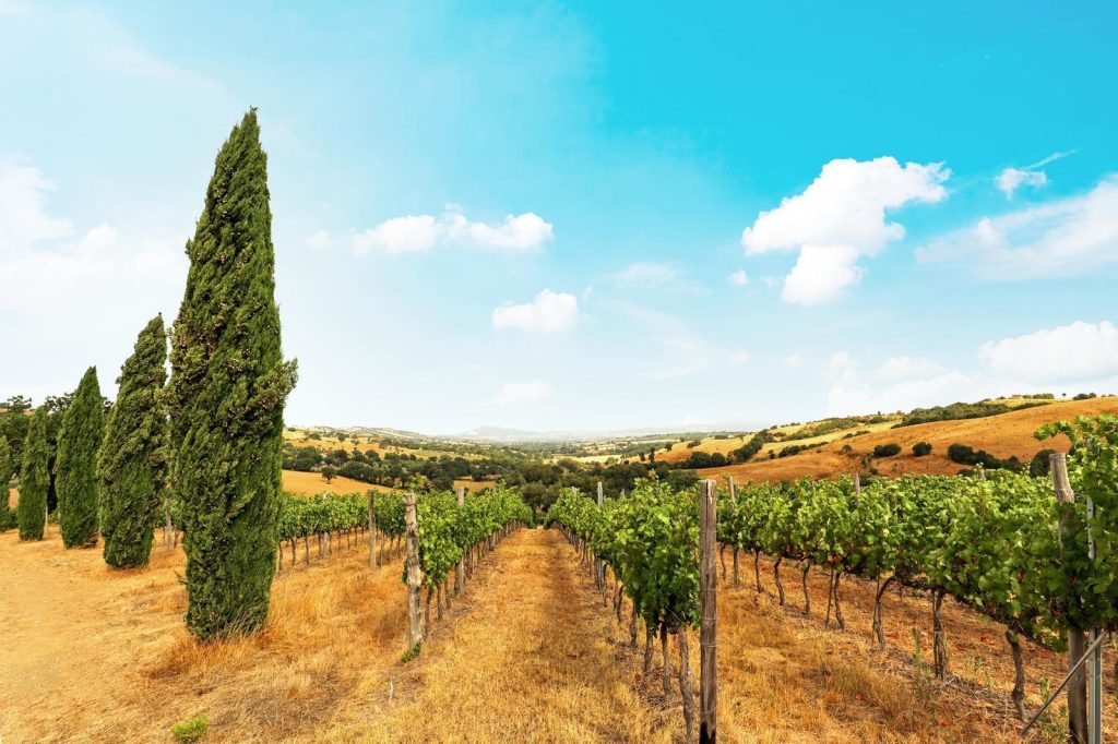 Cosa vedere a Montepulciano
