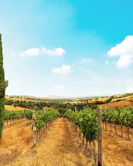 Cosa vedere a Montepulciano