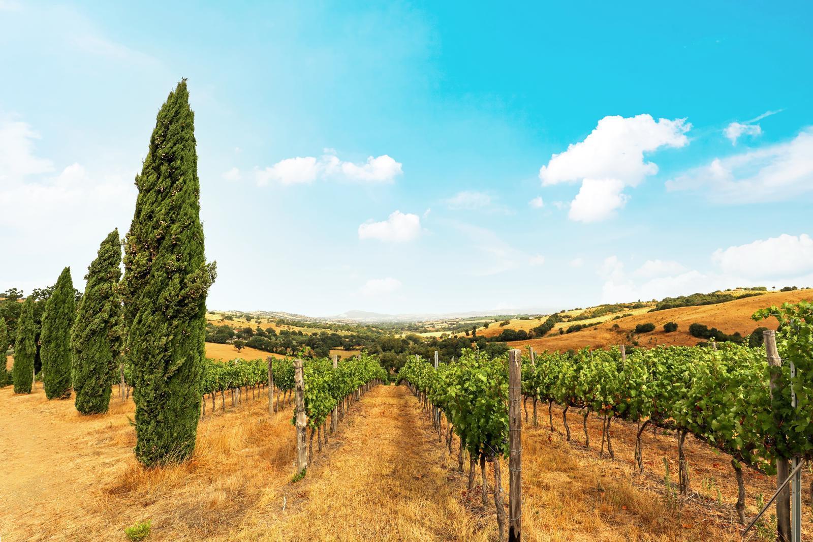 Cosa vedere a Montepulciano