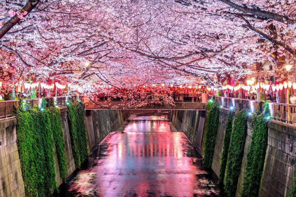 Cosa vedere a Tokyo