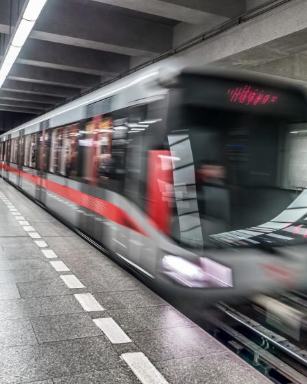 Vicenza Milano
